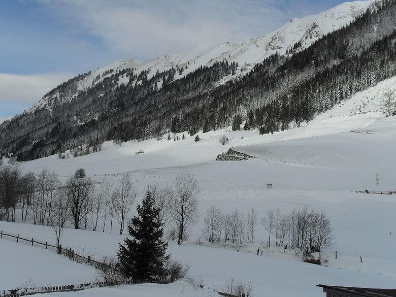 Spacious Apartment Near Ski Area In Pusterwald