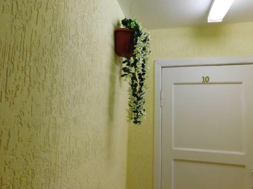 Hostal Chaika Guest House