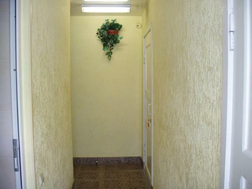 Hostal Chaika Guest House
