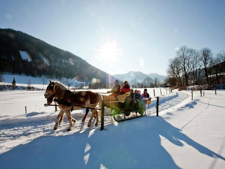 Luxurious Chalet In Murau With Terrace