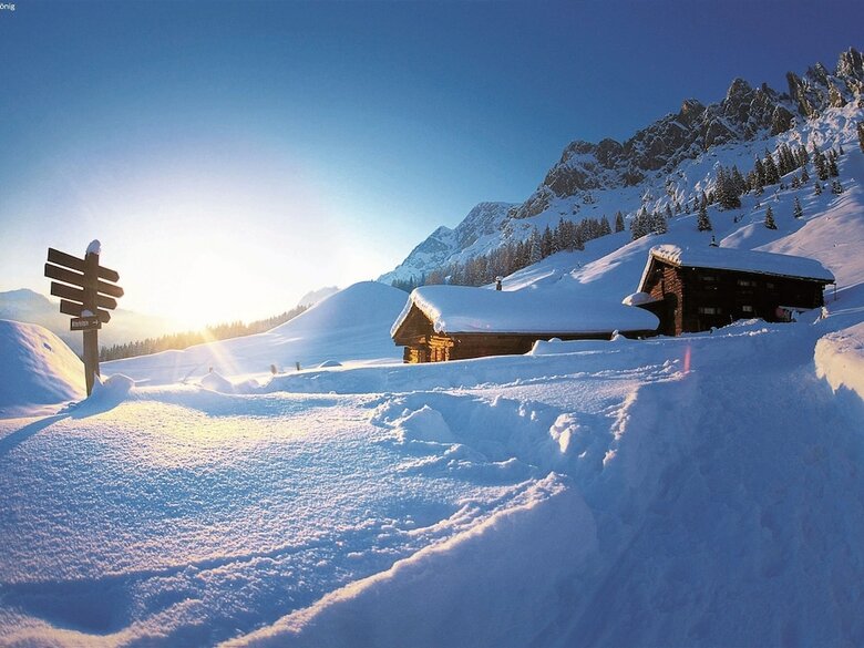 Modern Apartment Near Ski Area In Maria Alm