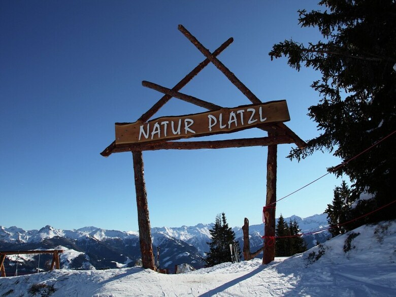 Cozy Chalet With Sauna In Gro�arl