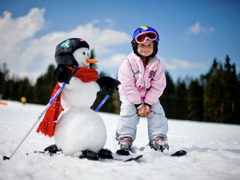 Spacious Chalet Near Kreischberg Ski Area