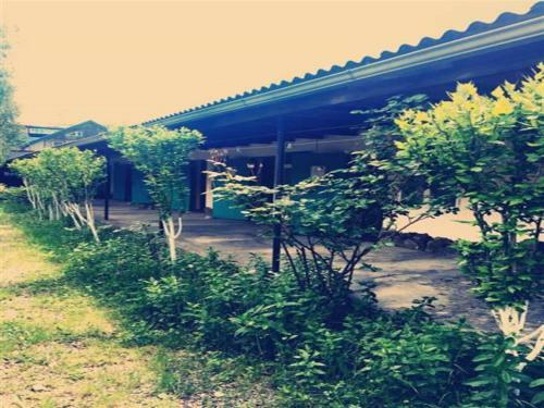 Hostal Guest House Margo