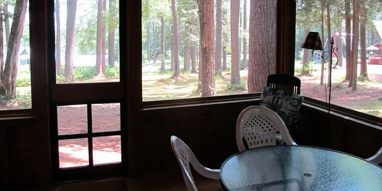 Birches At Gilmore Camps On Kezar Lake