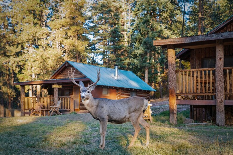 Posada Corkins Lodge