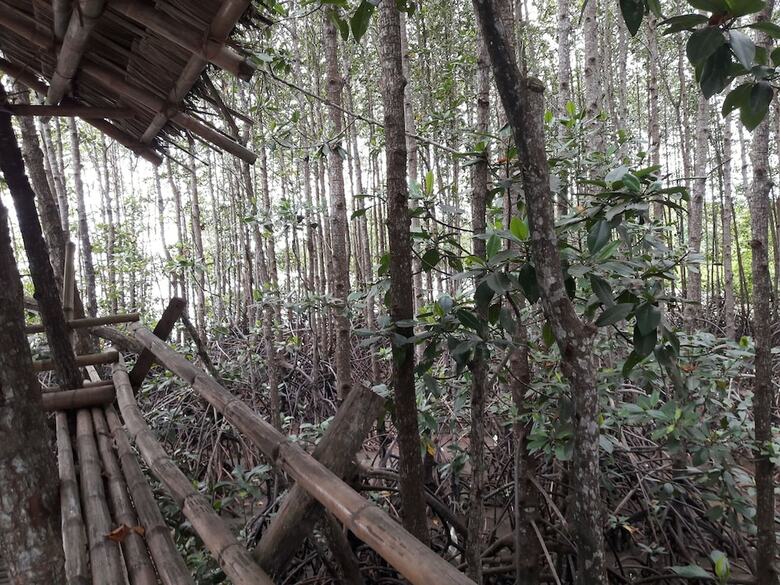 Hotel Guimaras Mangrove Guesthouse
