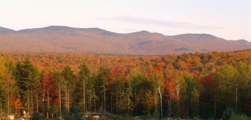 Lodge Robert Frost Mountain Cabins