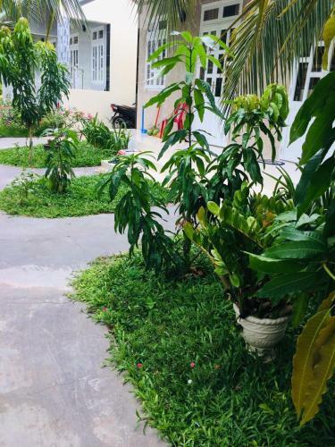 Bed & Breakfast Lam Long Luan Homestay