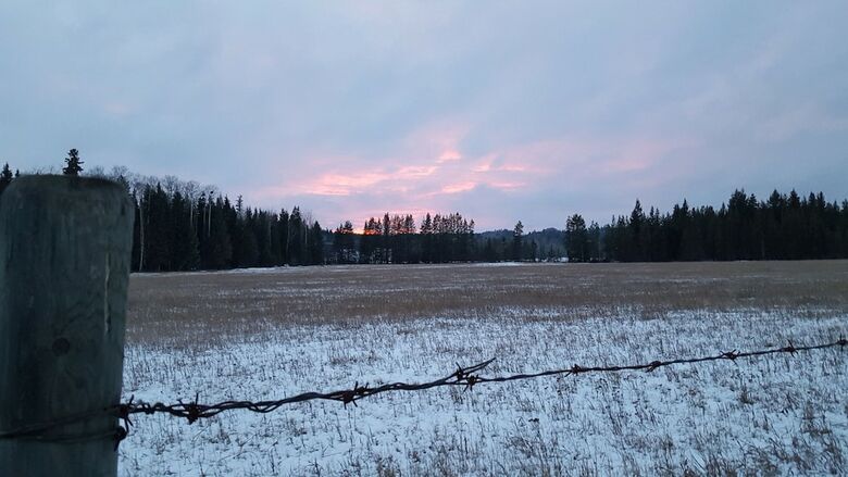 Woodhouse Cottages And Ranch