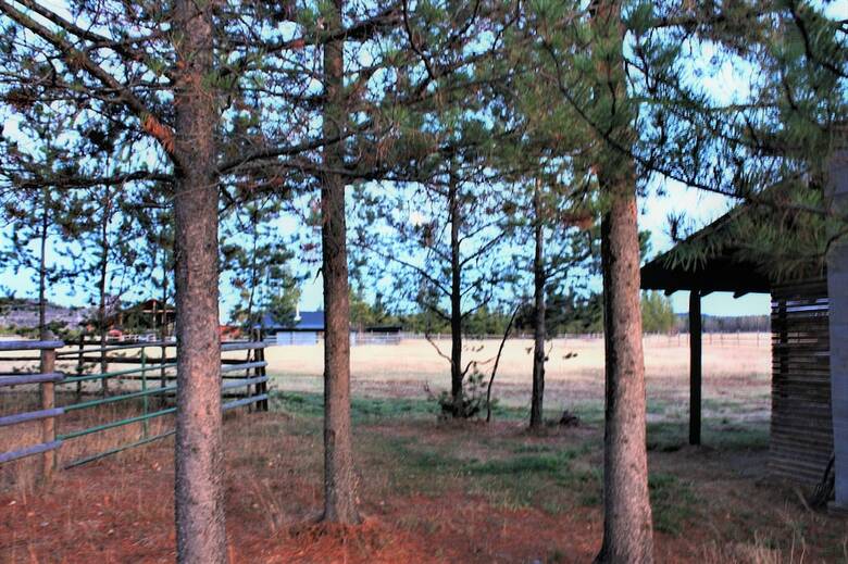 Woodhouse Cottages And Ranch