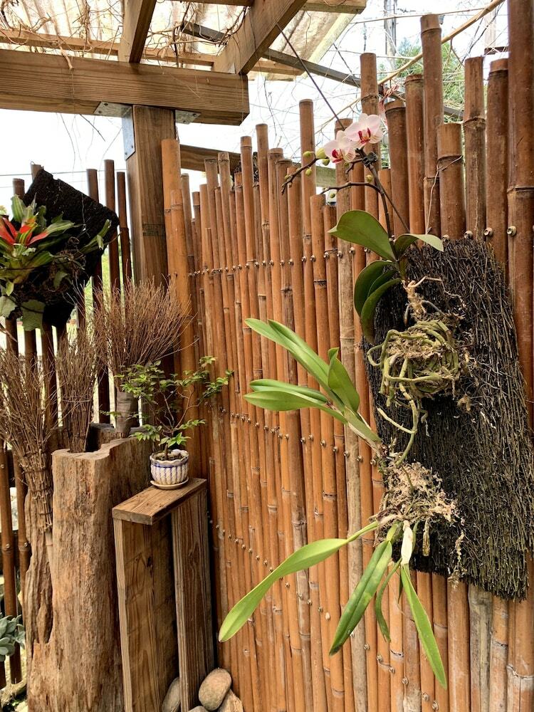 Bed & Breakfast Jia's Homestay