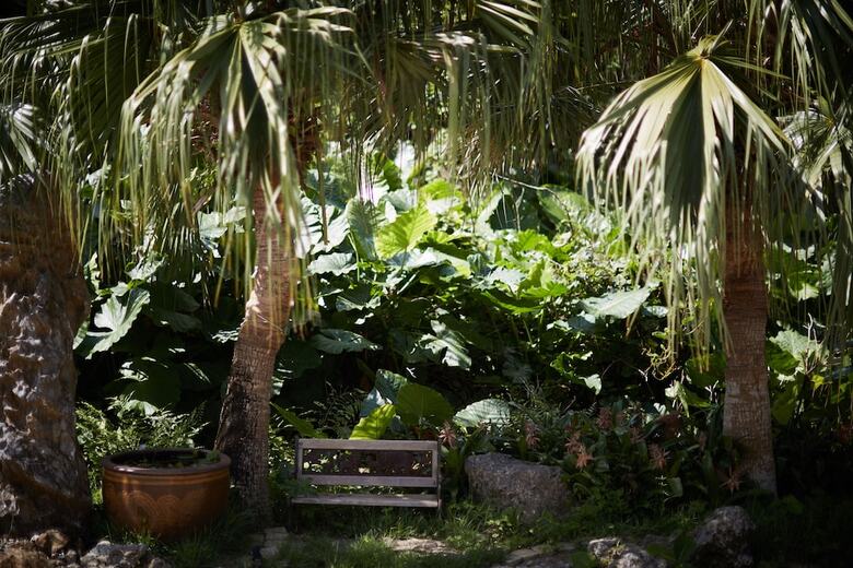 Churaya -yaedake With Japanese Garden-