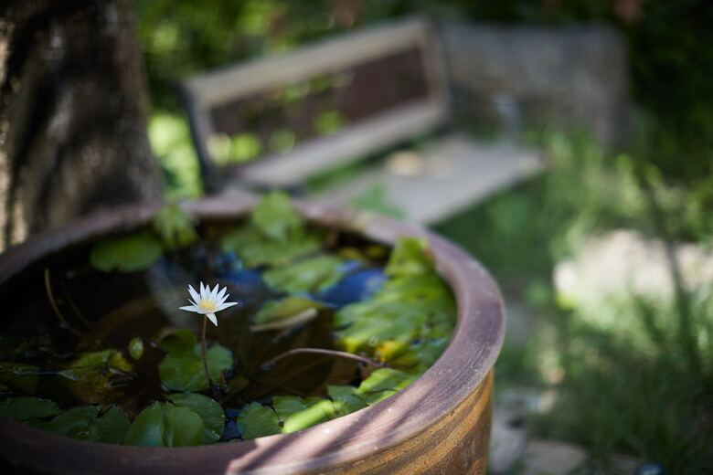 Churaya -yaedake With Japanese Garden-