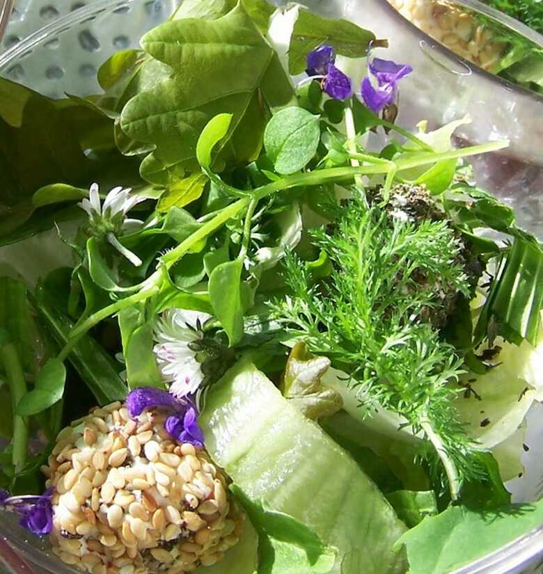 Pension Gasthaus Beckerwirt