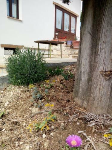 Agroturismo Agriturismo Vallonga