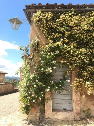 Agroturismo Fattoria Di Catignano
