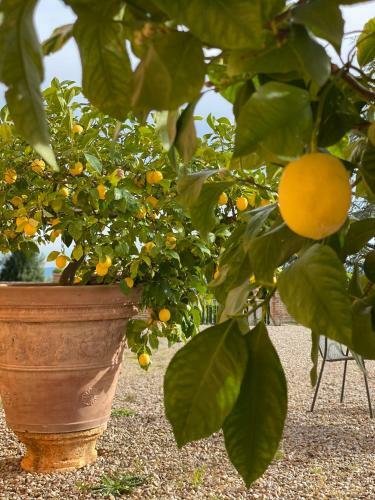 Agroturismo Fattoria Di Catignano
