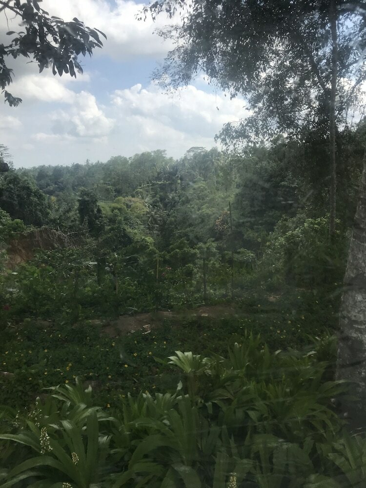 Jungle Bubble Lodge Ubud - Campsite