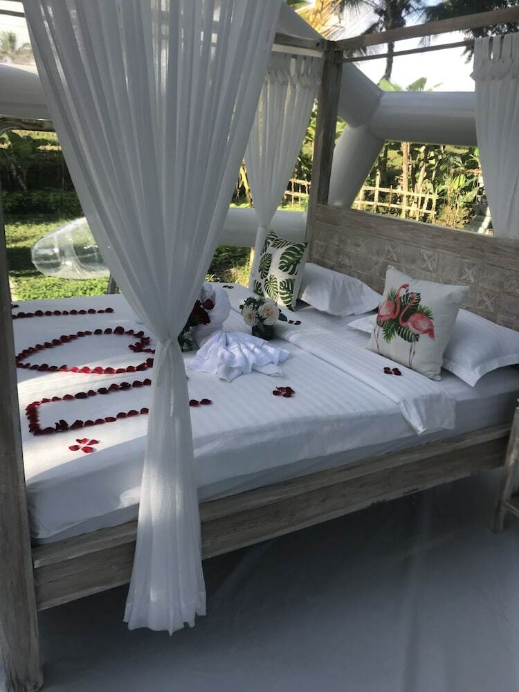 Jungle Bubble Lodge Ubud - Campsite