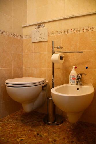 Hostal Guest House - Rooms Rent Cisanello
