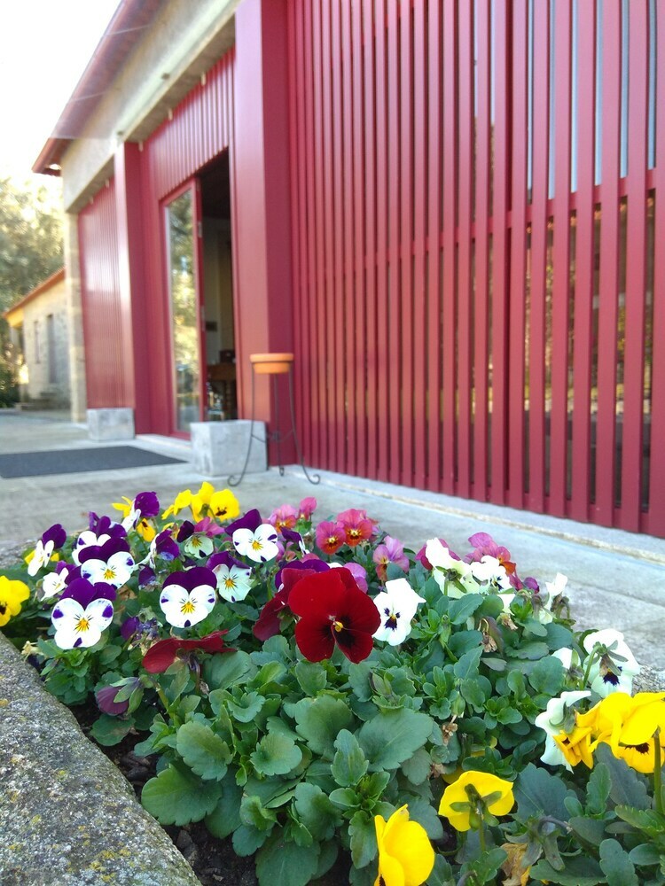 Agroturismo Casa Lata - Wine & Tourism