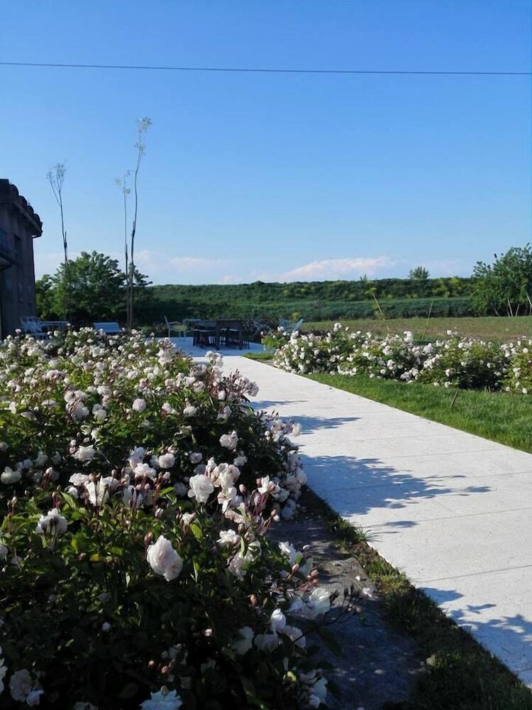 Agroturismo Agriturismo La Borina