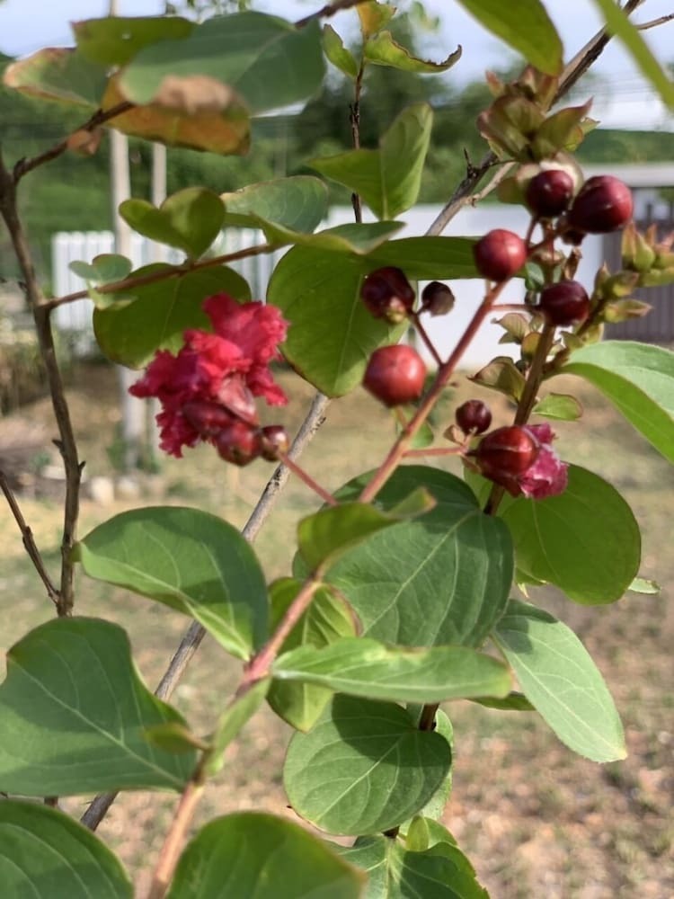 Hotel Cat Tuong Homestay