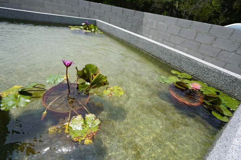 Bed & Breakfast Penghu Lucai Homestay