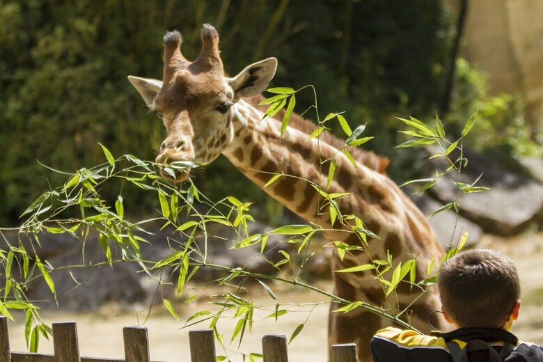 Proche Puy Du Fou - Roches Blanches