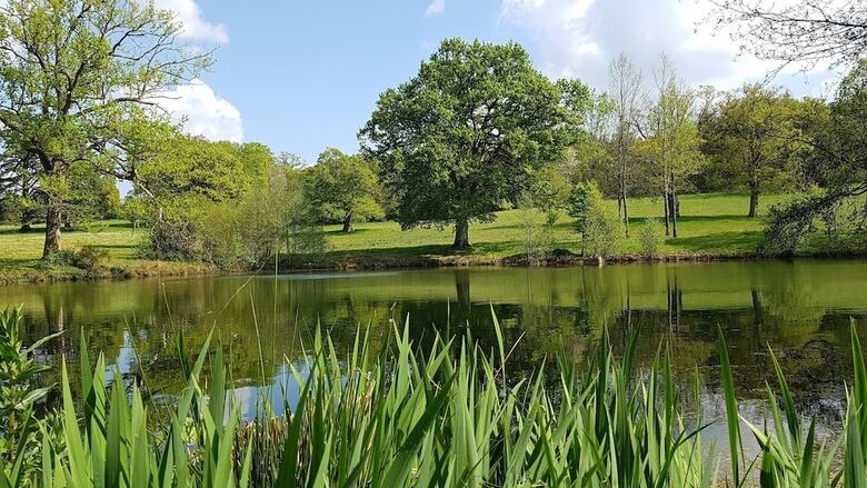 Proche Puy Du Fou - Roches Blanches
