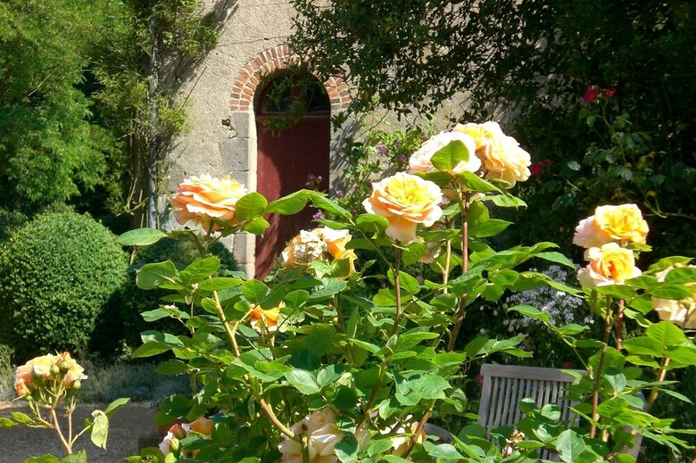 Proche Puy Du Fou - Roches Blanches