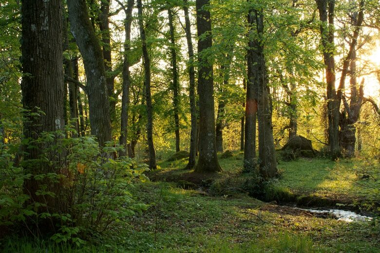 Proche Puy Du Fou - Roches Blanches