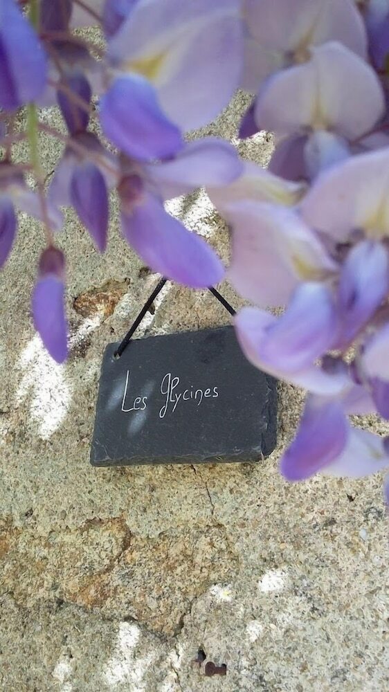 Proche Puy Du Fou - Roches Blanches