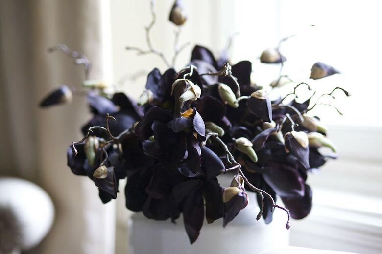 Posada Yorebridge House