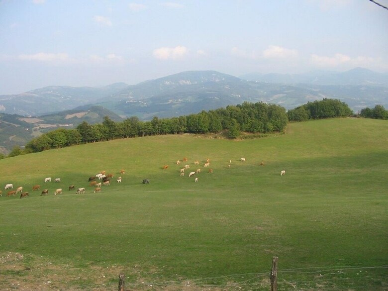 Agroturismo Tenuta C� Di Bertucci