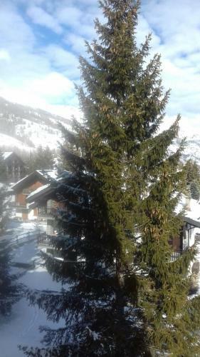 Apartamento Ca Del Nono