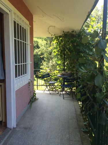 Bed & Breakfast Fattoria Sequoia