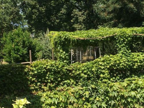 Bed & Breakfast Fattoria Sequoia