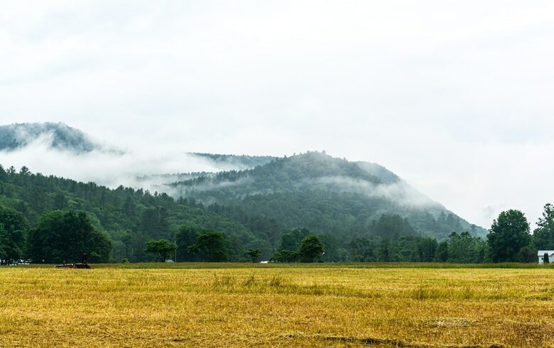 Hotel The Lodge At West River