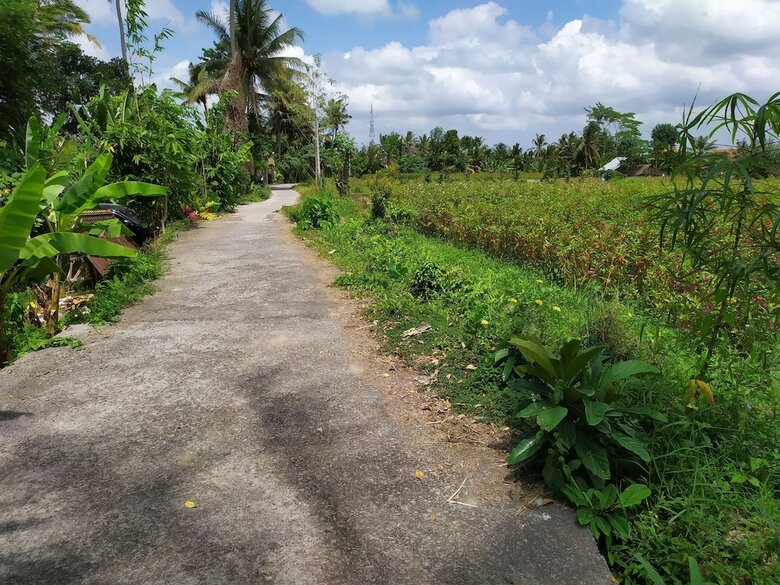 Bed & Breakfast Gopala Luxury Villa Ubud