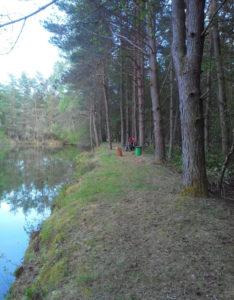 Camping Le Vianon
