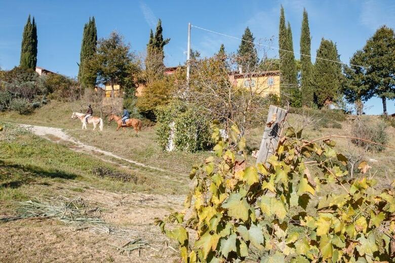 Agroturismo Podere Dell'anselmo