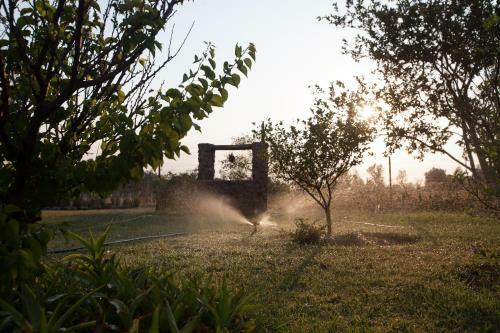 Bed & Breakfast Anima Casa Rural