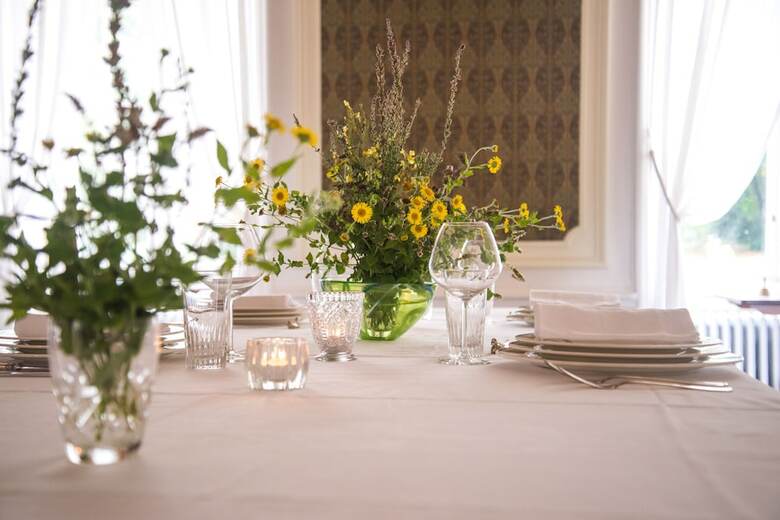 Bed & Breakfast Ch�teau de La Buronni�re