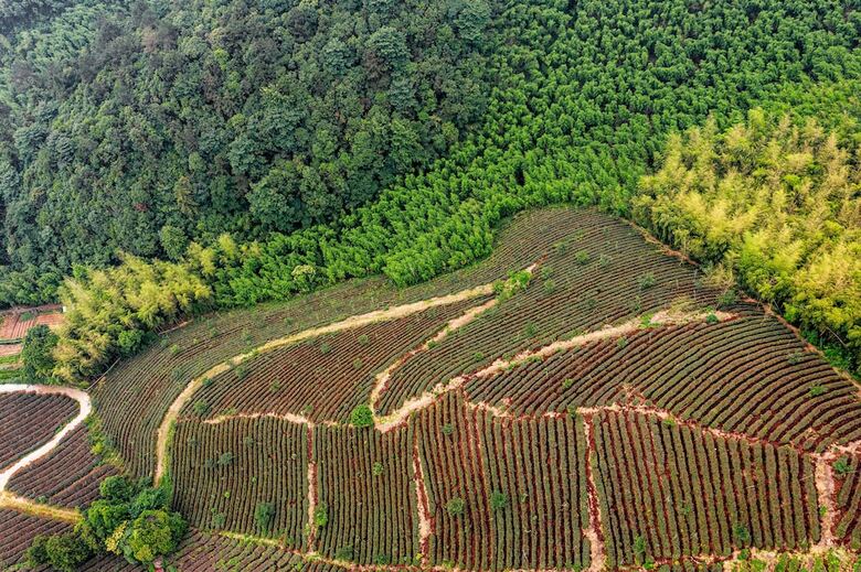 Hotel Hyatt Place Deqing