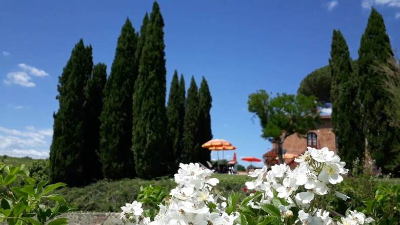 Agroturismo Appartamenti La Pineta