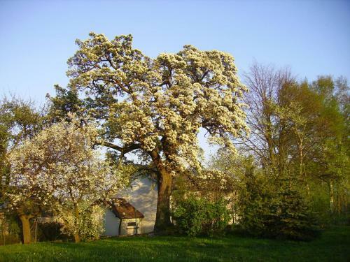 Agroturismo Zak?tek Pod Grusz?