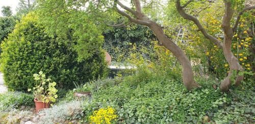 Agroturismo Zak?tek Pod Grusz?