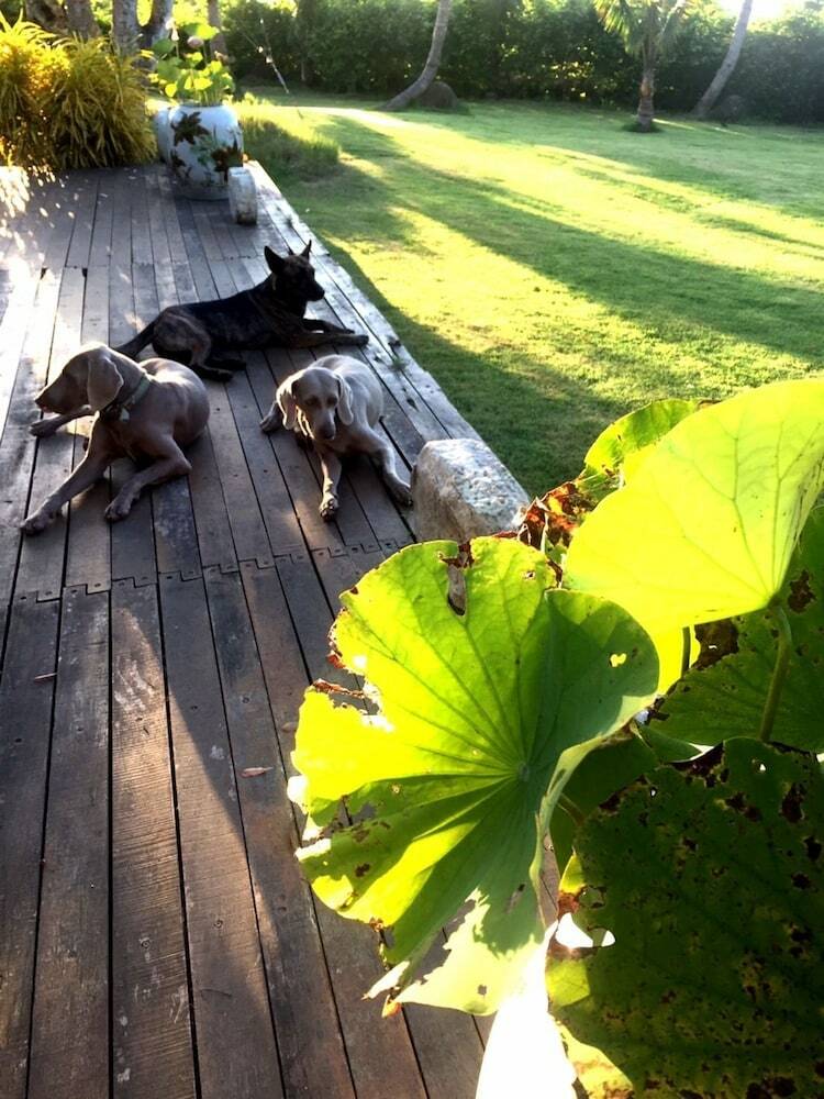 Bed & Breakfast Stone Party